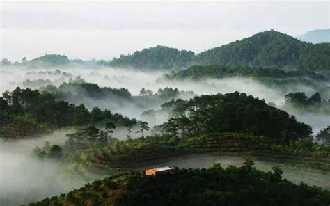 廣西十萬大山|十萬大山國家森林公園 (上思縣)